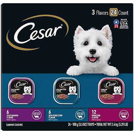 Cesar Filets in Gravy Adult Wet Dog Food, Filet Mignon, New York Strip and Prime Rib Variety pk., 3.5 oz., Pack of 24