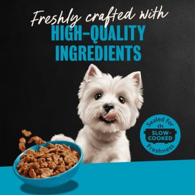 Image showing  Small Breed Adult Filet Mignon/NY Strip/Prime Rib Filets in Gravy Wet Dog Food Variety pk., 3.5 oz., 24 pk.
