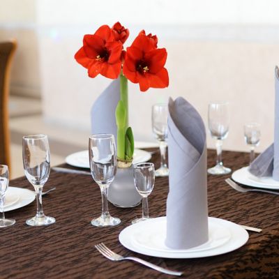 Image showing  Red Bloomaker Giant Silver Waxed Amaryllis Bulb