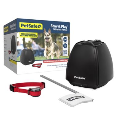 PetSafe Stay+Play Wireless Receiver Collar Blk