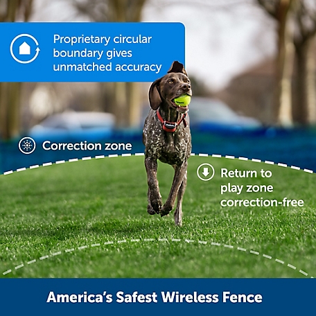 PETSAFE Stay & Play Wireless Fence for Stubborn Dogs 