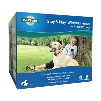 Image showing 7 th PetSafe 3/4-Acre Stay and Play Wireless Fence for Stubborn Dogs