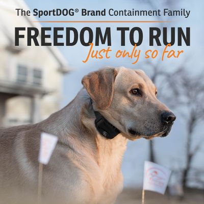 Image showing 6 th SportDOG 1,000 ft. Rechargeable In-Ground Fence System