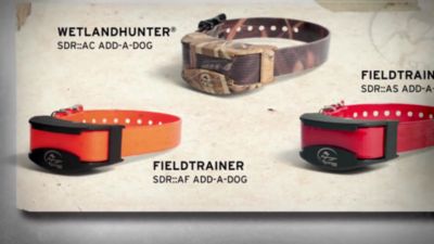 Image showing  FieldTrainer 425XS Rechargeable Add-a-Dog Training Collar for Stubborn Dogs, For Dogs 8 lb. or Larger, 5-22 in. Necks