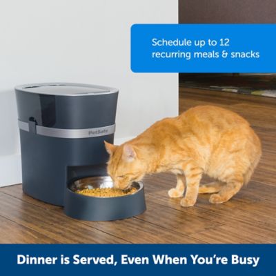 Image showing  Smart Feed Automatic Dog and Cat Feeder