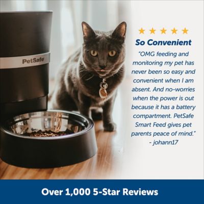 Image showing  Smart Feed Automatic Dog and Cat Feeder