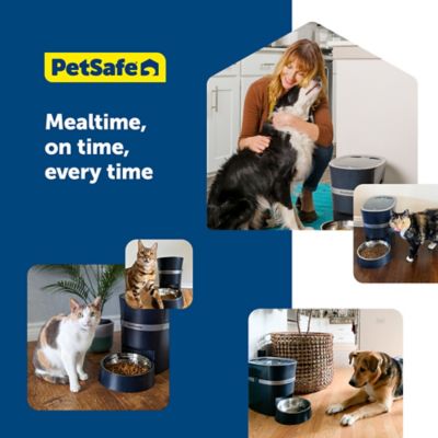 Image showing 5 th PetSafe Smart Feed Automatic Dog and Cat Feeder