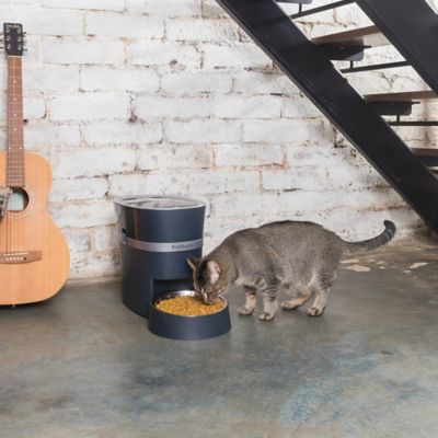 Image showing 9 th PetSafe Smart Feed Automatic Dog and Cat Feeder
