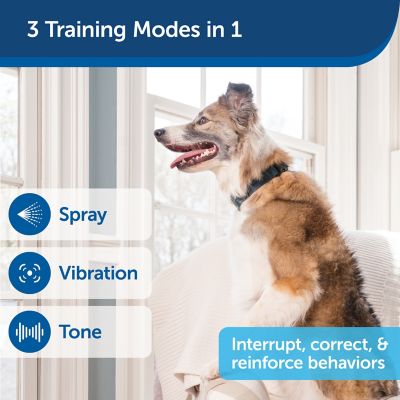 Image showing  Remote Spray Trainer Add-a-Dog Dog Training Collar