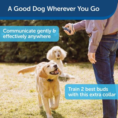 Image showing  Remote Spray Trainer Add-a-Dog Dog Training Collar