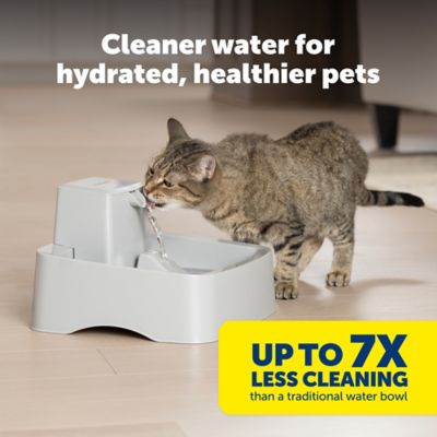 Image showing  Oasys 1 gal. Pet Fountain