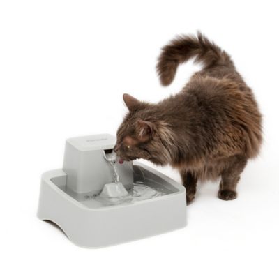 drinkwell pet fountain