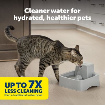 Image showing  Oasys 1/2 gal. Pet Fountain