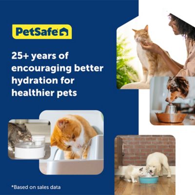 Image showing 6 th PetSafe Oasys 1/2 gal. Pet Fountain