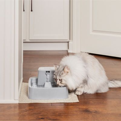 Image showing 7 th PetSafe Oasys 1/2 gal. Pet Fountain