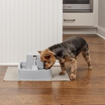 Image showing 9 th PetSafe Oasys 1/2 gal. Pet Fountain