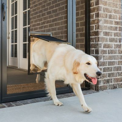 PetSafe Pet Screen Door, Large