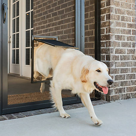 Suitable for Dogs & Cats. SUCCESS Dog Screen Door for Sliding Screen Door Magnetic & Automatic Pet Screen Door 