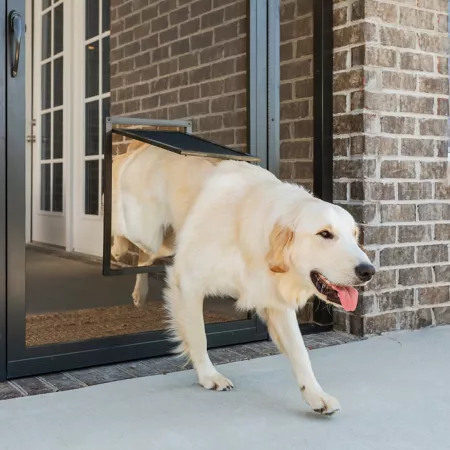 PetSafe Pet Screen Door Large Pet Doors & Parts