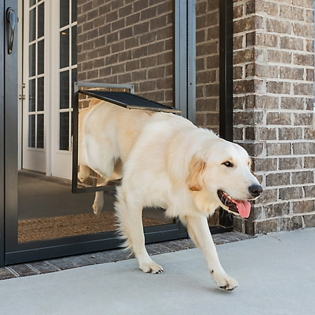 PetSafe Pet Screen Door, Large