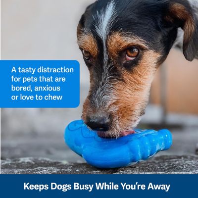 Image showing  Freezable Treat Holding Chilly Penguin, Medium/Large