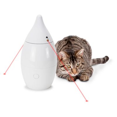 Image showing 7 th PetSafe Zoom Rotating Laser Cat Toy, Includes 2 Interactive Laser Lights