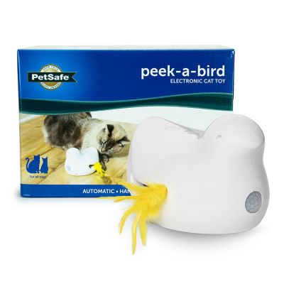 PetSafe Peekabird Automatic Interactive Cat Toy Hypnotic Toy To Calm the Restless Kitty