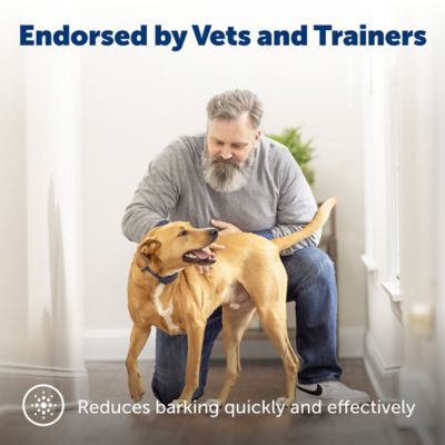 Image showing  Lite Rechargeable Bark Control Dog Collar for Dogs 8 lb. and Up