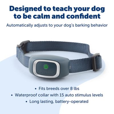 Image showing  Basic Adjustable Waterproof Bark Control Dog Collar for Small, Medium or Large Dogs 8 lb. and Up