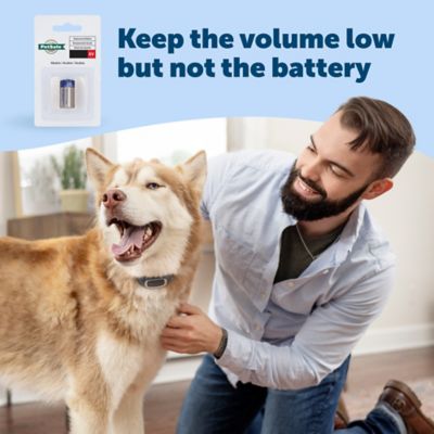 Image showing  Basic Adjustable Waterproof Bark Control Dog Collar for Small, Medium or Large Dogs 8 lb. and Up