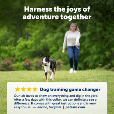 Image showing PetSafe 300 yd. Range Remote Spray Trainer for Dogs