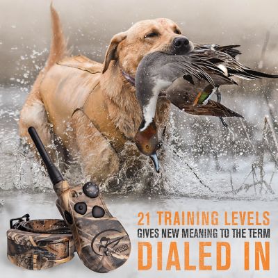 Image showing  WetlandHunter X-Series Remote Dog Training Collar, 1 Mile Range