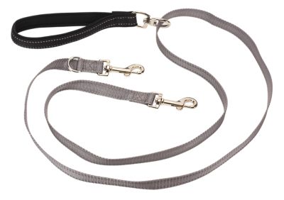 Dog lead with outlet two clips