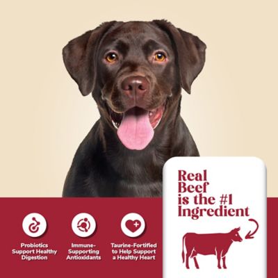 Image showing  Adult Beef and Rice Formula Dry Dog Food