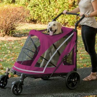 pet gear inc stroller