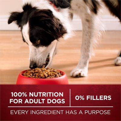 Image showing 7 th Purina ONE Adult True Instinct Natural High-Protein Real Salmon and Tuna Formula Dry Dog Food