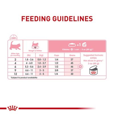 Image showing 6 th Royal Canin Feline Health Nutrition Kitten Thin Slices in Gravy Wet Cat Food, 3oz., 12 pk.