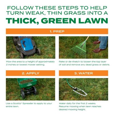 Image showing 5 th Scotts 40 lb. 4,000 sq. ft. Turf Builder THICK'R LAWN Bermudagrass