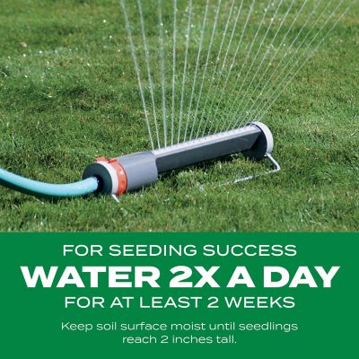 Image showing 9 th Scotts 40 lb. 4,000 sq. ft. Turf Builder THICK'R LAWN Bermudagrass