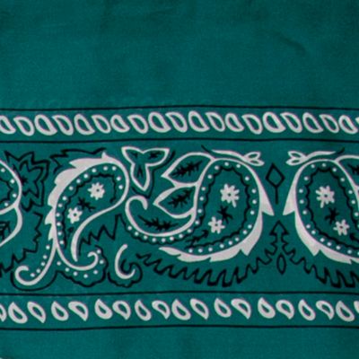 Wyoming Traders Unisex Wild Rag Scarf, Forest