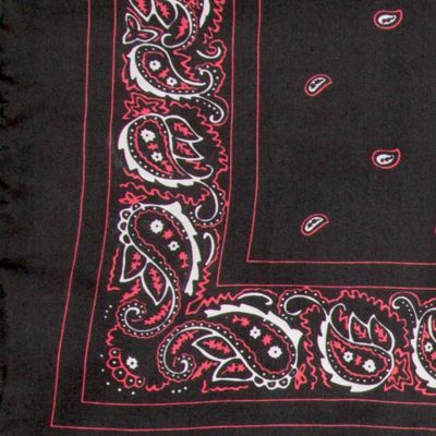 Wyoming Traders Unisex Bandana Silk Wild Rag, Extra Large, Black
