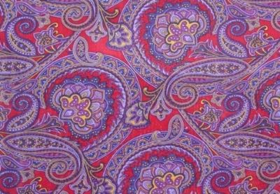 Image showing  Unisex #1 Paisley Frontier Calico Wild Rag Scarf