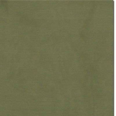 Image showing  Unisex Solid Silk Scarf, Sage