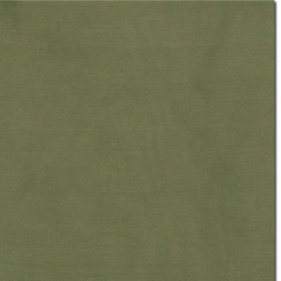 Wyoming Traders Sage Solid Silk Scarf, Extra Large