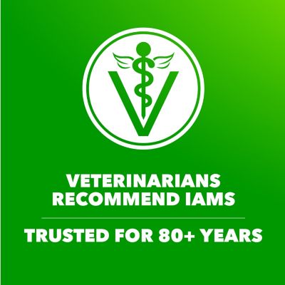 Image showing  ProActive Health MiniChunks Adult Chicken and Whole Grain Recipe Dry Dog Food