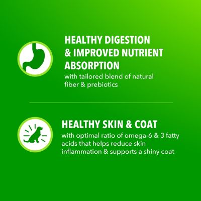 Image showing  ProActive Health MiniChunks Adult Chicken and Whole Grain Recipe Dry Dog Food