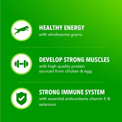 Image showing  ProActive Health MiniChunks Adult Chicken and Whole Grain Recipe Dry Dog Food