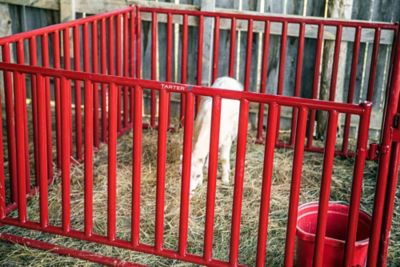 Image showing  6 ft. Vertical Bar Small Animal Panel, VBSAP6