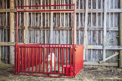 Image showing  6 ft. Vertical Bar Small Animal Walk-Thru Panel, VBSAW6