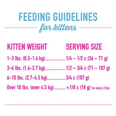 Image showing  Born Carnivore Baby Kitten Health Deboned Chicken and Egg Recipe Dry Cat Food